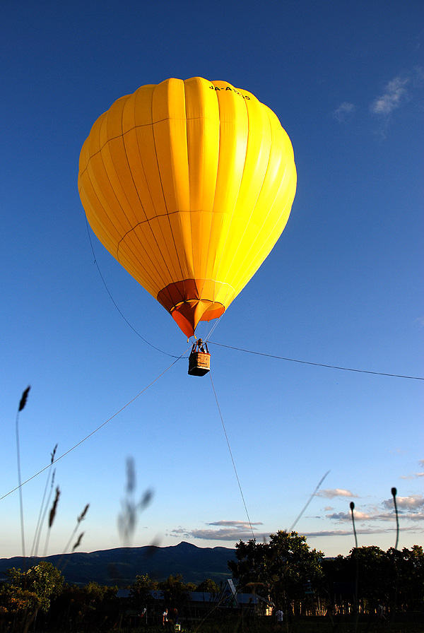 balloon konbu yama