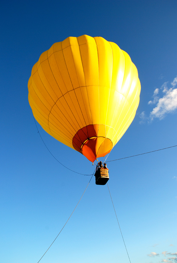 niseko balloon